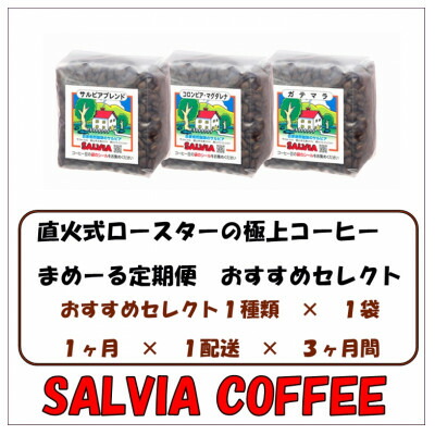 【ふるさと納税】【毎月定期便】まめーる店主おすすめセレクト200g【豆】全3回【4053616】