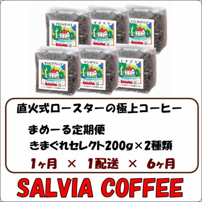 【ふるさと納税】【毎月定期便】まめーる店主のきまぐれセレクト200g×2袋【粉】全6回【4053868】