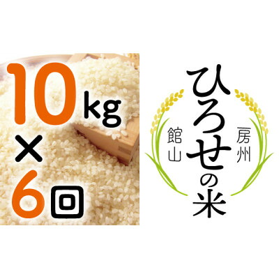 【ふるさと納税】【毎月定期便】〈中旬発送〉ひろせの米 館山市広瀬産こしひかり 10kg全6回【4077169】|千葉県館山市