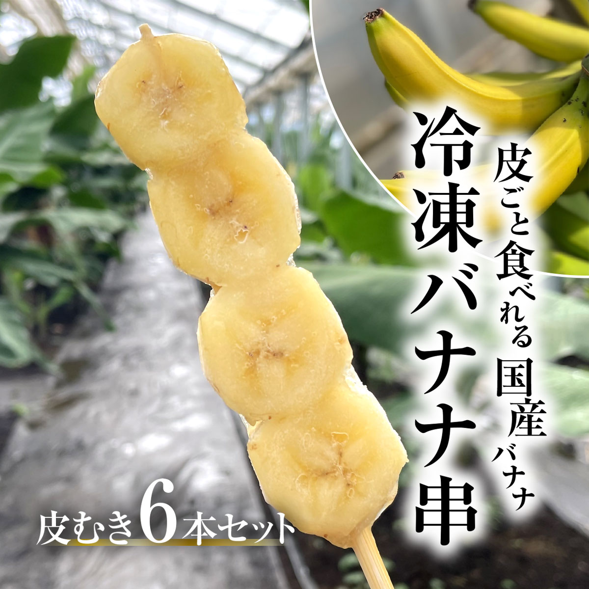 【ふるさと納税】 【2025年2月より発送開始】冷凍バナナ串　皮むき６本セット / ふるさと納税 バナナ 希少 レア 贈答 プレゼント 健康 栄養 千葉県 木更津 送料無料 KAF004