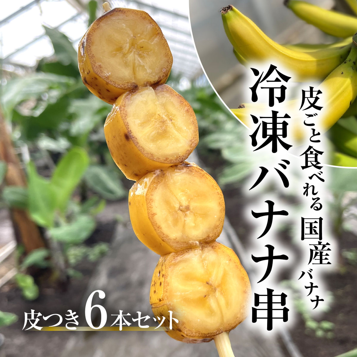 【ふるさと納税】 【2025年2月より発送開始】冷凍バナナ串　皮つき６本セット / ふるさと納税 バナナ 希少 レア 贈答 プレゼント 健康 栄養 千葉県 木更津 送料無料 KAF003
