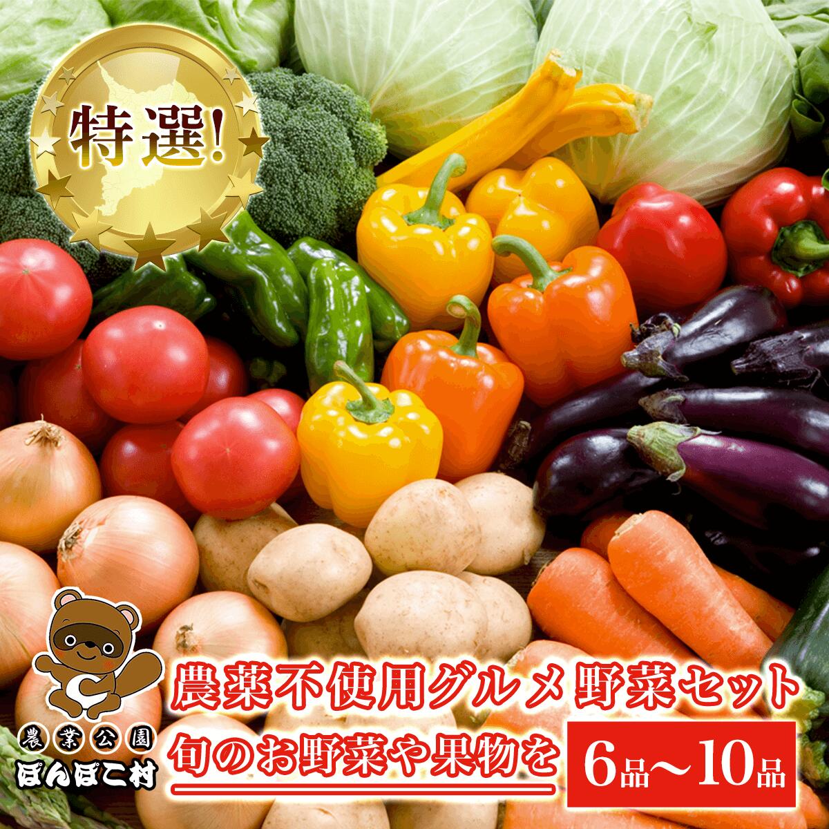 【ふるさと納税】特選！農薬不使用グルメ野菜セット【旬のお野菜や果物を６品～10品】＜農業公園ぽんぽこ村＞ ふるさと納税 野菜 野菜セット 千葉県 木更津 送料無料 KAT001