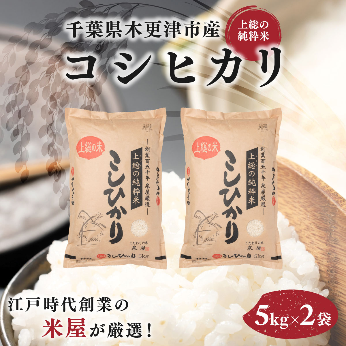 【ふるさと納税】 上総の純粋米コシヒカリ　5kg×2 【厳選】千葉県木更津市産 KCV001 シヒカリ こしひかり お米 米 こめ うるち米 うるち精米 千葉県 木更津市 送料無料 数量限定 限定