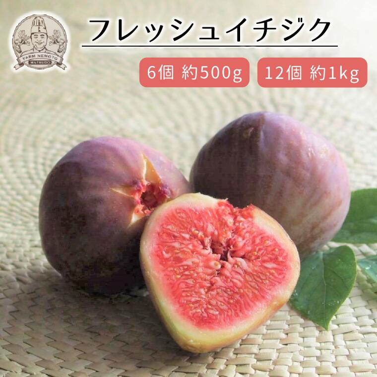 【ふるさと納税】イチジク 生 果実 ドーフィン 6個 約 500g 12個 約 1kg フルーツ 食物繊維 カリウム 美容 健康 ジャム コンポート 美味しい おすすめ 期間限定 新鮮 低カロリー さっぱり ファーム根本 高ポリフェノール 先行予約 2025年 8月 発送