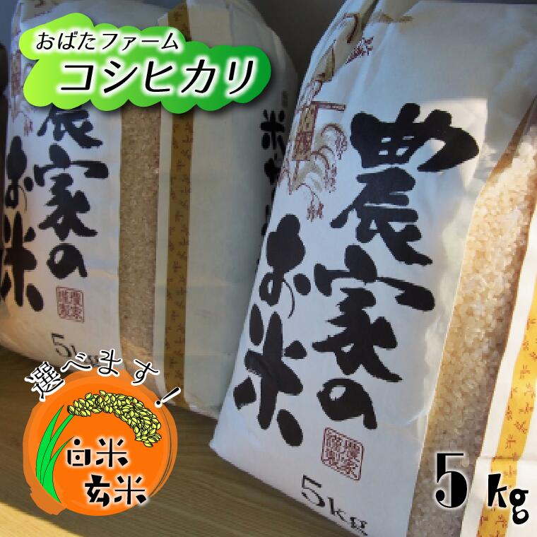 メール便なら送料無料】 コシヒカリ 5kg 選べる 白米 or 玄米 fucoa.cl