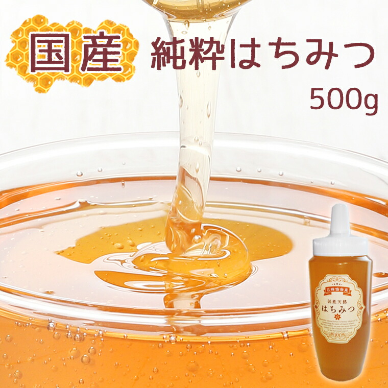【ふるさと納税】【蕃昌みつばち倶楽部】国産純粋はちみつ 500g