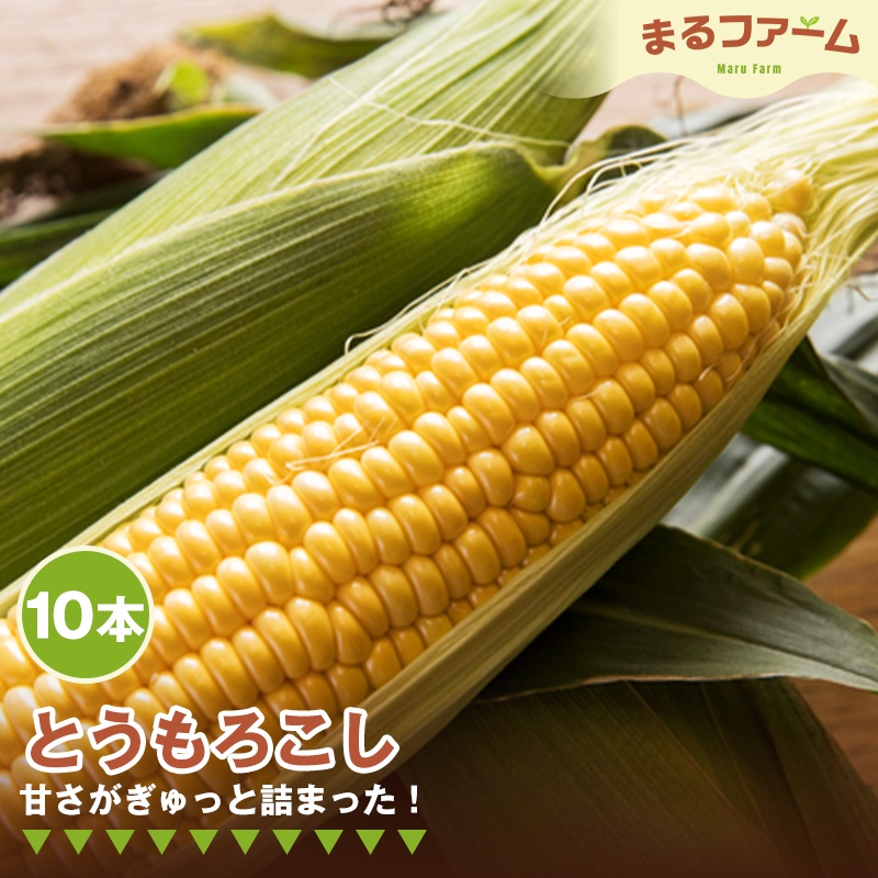 【ふるさと納税】トウモロコシ　10本 ／ とうもろこし コーン 国産 新鮮 夏野菜 甘み 粒感 料理用 茹で用 焼き用 BBQ バーベキュー シンプル調理 大容量 日常使い 送料無料 千葉県 特産 No.373