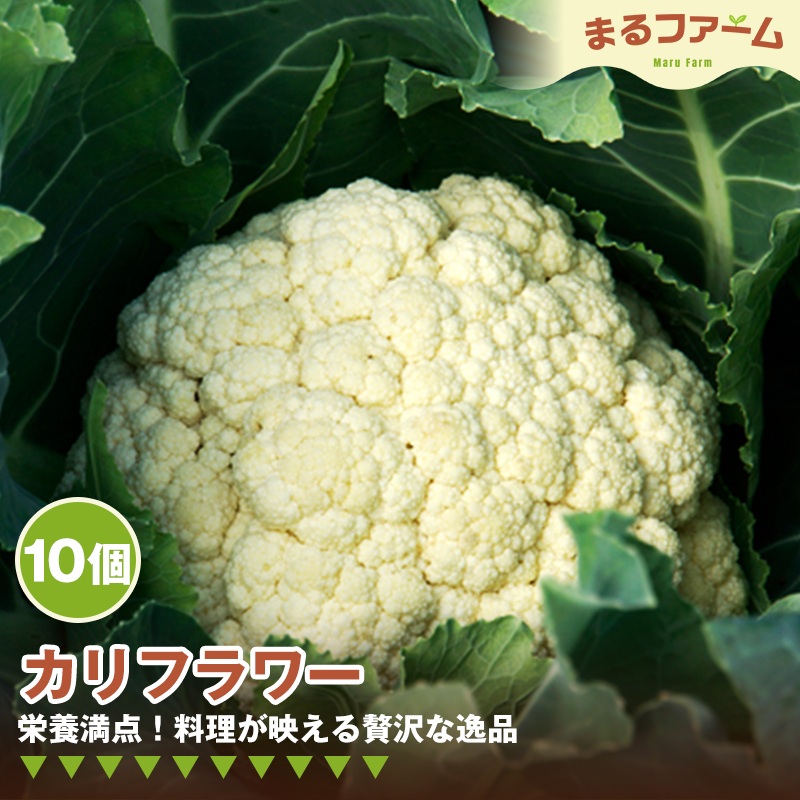 【ふるさと納税】カリフラワー　10コ ／ 新鮮 国産 野菜 食感 コリコリ 甘み 料理用 サラダ スープ ピクルス 下処理簡単 野菜セット 大容量 日常使い 送料無料 千葉県 特産 No.380