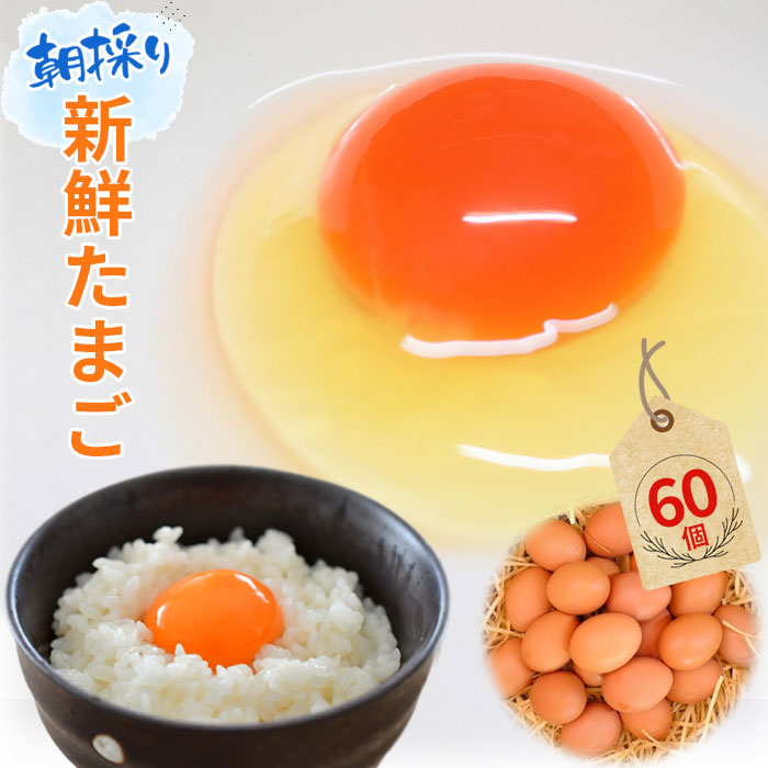 【ふるさと納税】 【60個】美味しい産みたて朝採り新鮮たまご（手集卵）ミネラルエッグ ／ 玉子 新鮮卵 卵かけご飯 玉子焼き 産みたて 養鶏場直送 赤卵 薬品無添加 コラーゲン ミネラル ビタミン 安心安全 送料無料 千葉県 No.051