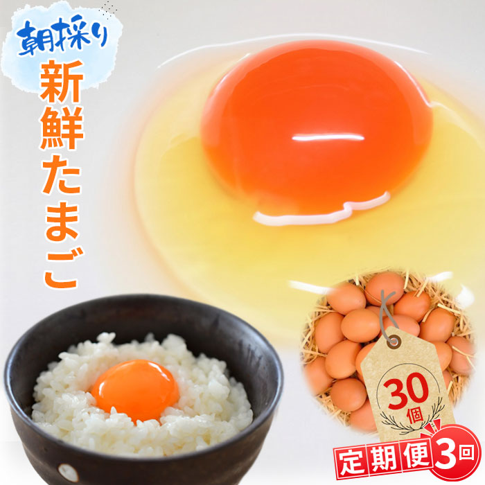 【ふるさと納税】 【毎月定期便3回】美味しい産みたて朝採り新鮮たまご（手集卵）ミネラルエッグ30個×3回 ／ 玉子 新鮮卵 卵かけご飯 玉子焼き 産みたて 養鶏場直送 赤卵 薬品無添加 コラーゲン ビタミン 安心安全 送料無料 千葉県 No.068