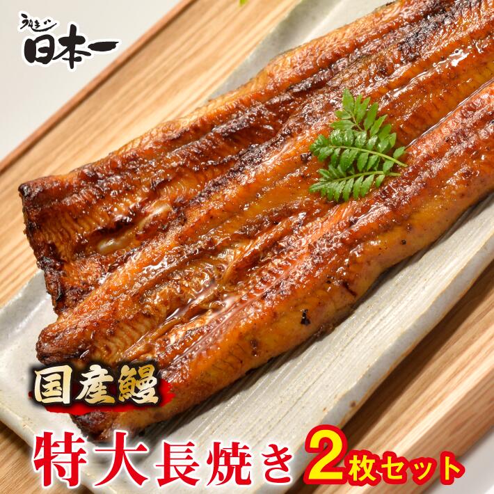 【日本一】国産うなぎ　特大長焼き2枚セット 