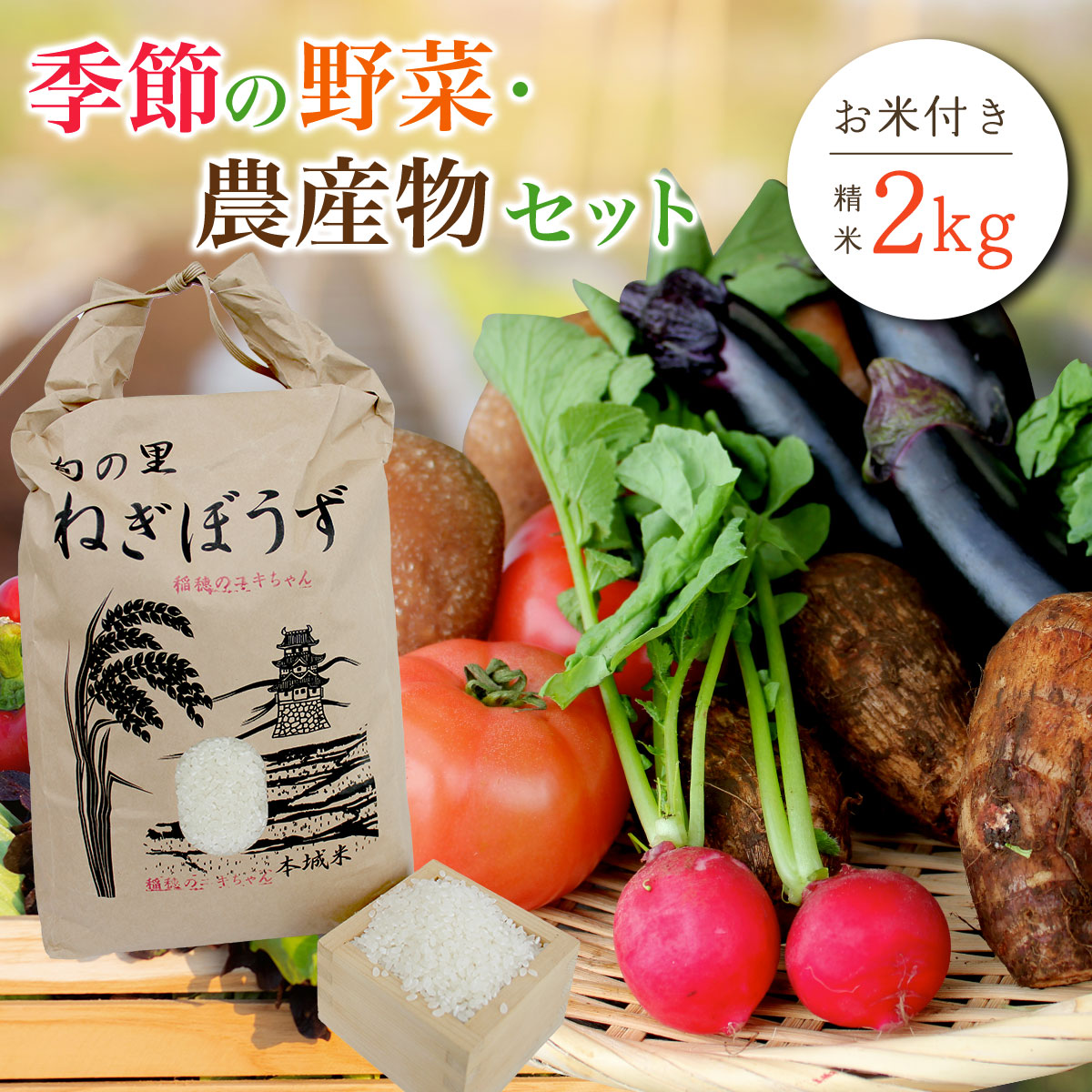【ふるさと納税】季節の野菜・農産物セット　お米付き(精米・2kg)　ふるさと納税 野菜 野菜詰合せ 季節 お米 米 千葉県 茂原市 MBAE001｜千葉県茂原市 7,300円