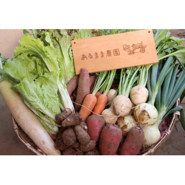 【ふるさと納税】【農家直送】農薬不使用季節の野菜セット（10品） 詰合せ