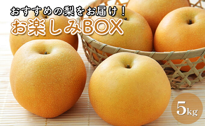 【ふるさと納税】お楽しみBOX おすすめの梨をお届け 梨 7種 セット 詰め合わせ 豊水 秋月 かおり 新星 新高 甘太 にっこり なし ナシ 和梨 果物 くだもの フルーツ 旬のフルーツ 旬の果物 デザート 千葉 千葉県 成田市　お届け：2026年8月20日～10月10日｜千葉県成田市 17,750円
