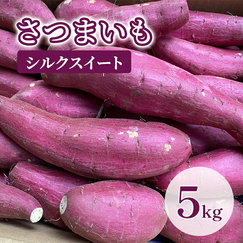 【ふるさと納税】【訳あり】さつまいも5kg（シルクスイート） サツマイモ 薩摩芋 焼き芋 やきいも ヤキイモ 天ぷら 大学いも おやつ スイーツ スイートポテト 農家 産地直送 成田市 千葉県