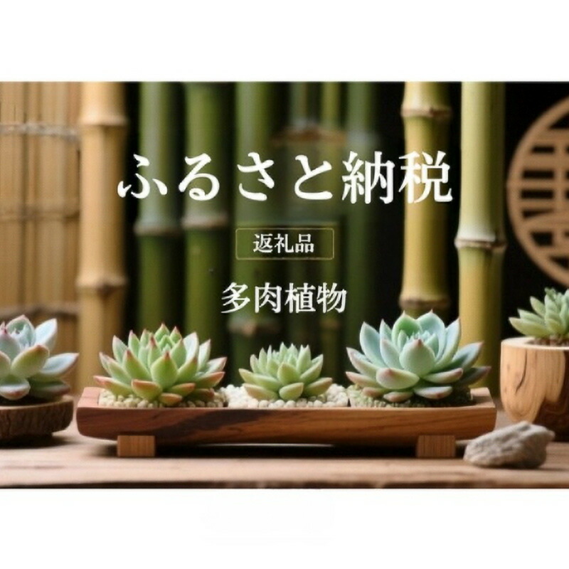 [売れ筋 本日発送 ] MDAGAQ406SG (MDAGAQ406SG)