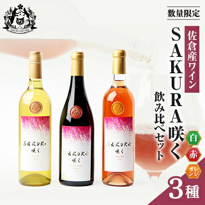 【ふるさと納税】【数量限定】佐倉産初!ワイン　厳選3本セット　赤・白・オレンジワイン【配送不可地域：離島】【1637172】