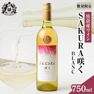 【ふるさと納税】【数量限定】佐倉産初のワイン!混醸辛口白ワイン　750ml&times;1本【配送不可地域：離島】【1637173】｜千葉県佐倉市