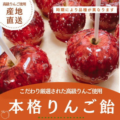 【ふるさと納税】 \最短7営業日以内発送/ 本格 りんご飴 5個 セット 高級 フルーツ 果物 贈答 ギフト プレゼント こだわり リンゴ 林檎 スイーツ お菓子 菓子 おやつ おつまみ 晩酌 デザート 飴 フルーツ飴 林檎飴  本格りんご飴 厳選 リンゴアメ フルーツアメ 千葉県 旭市