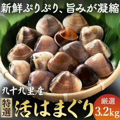 【ふるさと納税】 九十九里産 活け はまぐり 約3.2kg/34~44個 ≪千葉ブランド水産物認定品≫ 天然 蛤 ハマグリ 活 冷蔵 魚介 魚貝 海鮮  貝  出汁 だし 味噌汁 酒蒸し グラタン 九十九里浜 お祝い 祝い ひなまつり 節句 おせち 贅沢 不動丸 千葉県 旭市