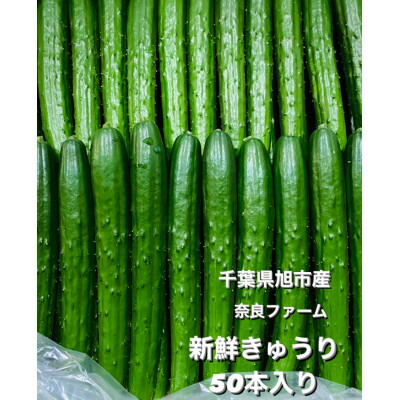 【ふるさと納税】 ＜産直＞きゅうり50本 きゅうり 胡瓜 野菜 夏野菜 サラダ 冷麺 漬物 漬け物 ぬか漬け 酢の物 1本漬け 浅漬け 冷やしきゅうり キムチ きゅうりちくわ ちくわきゅうり 産地直送 新鮮  千葉県 旭市