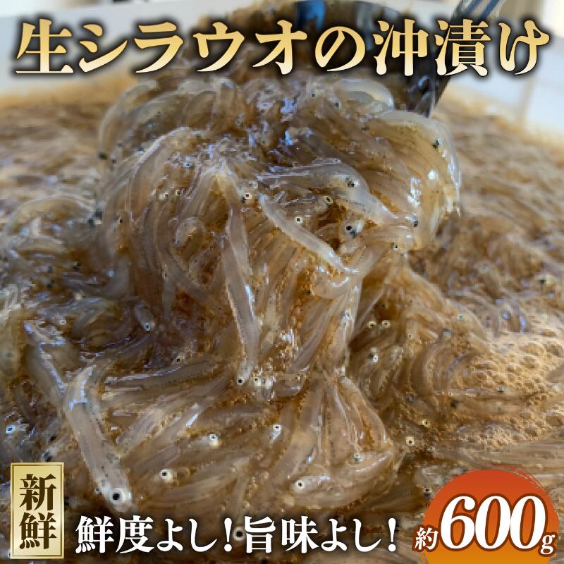 【ふるさと納税】 生シラウオ 沖漬け 600g (100g×6P) 1パック2人前 白魚 シラウオ 沖漬け 小魚 醤油 タレ 無添加 魚介 海の幸 海 魚 プレゼント 贈答 お祝い 送料無料 ふるさと納税 飯岡ヤマイチ水産-大納屋- 千葉県 旭市|千葉県旭市