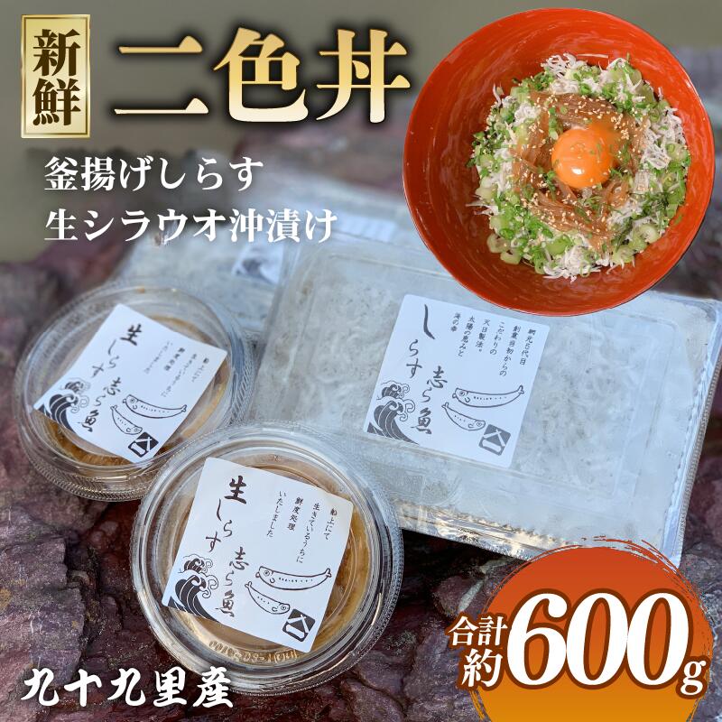 【ふるさと納税】 二色丼 生シラウオ沖漬け 釜揚げしらす 各3パック 合計600g セット しらす 白魚 シラウオ しらうお 釜揚げ 沖漬け 海鮮丼 魚介類 無添加 魚介 ギフト お祝い 送料無料 飯岡ヤマイチ水産-大納屋- メディア 千葉県 旭市|千葉県旭市