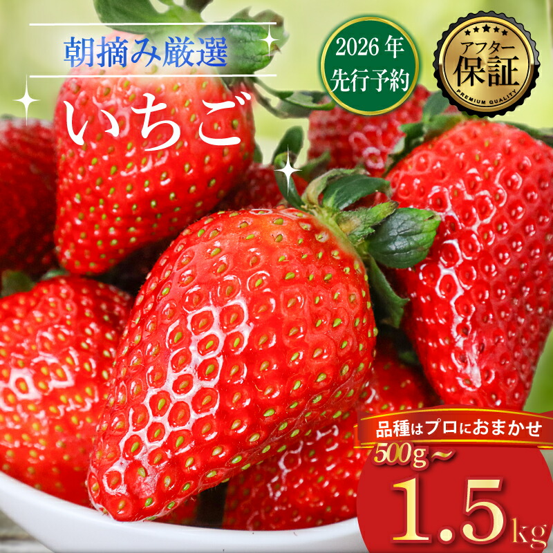 【ふるさと納税】 【2026年2月より発送開始】 品種おまかせ いちご 選べる 500g～1500g 苺 とちおとめ やよいひめ おいCベリー かおり野 スターナイト 果物 くだもの フルーツ 果実 先行予約 おまかせ 品種 ジャム いちごジャム スイーツ  ケーキ  千葉県 旭市 滑川いちご園
