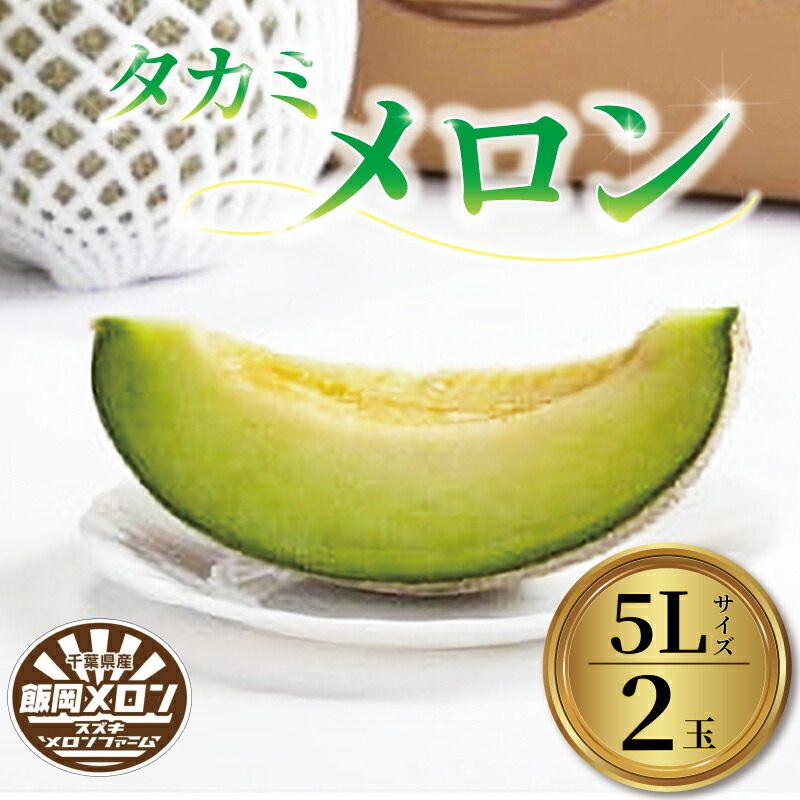 【ふるさと納税】 ＜2025年先行受付＞飯岡メロン 青肉 5L 約 1.7kg × 2玉 メロン 大玉 フルーツ 果物 プレゼント 贈答 ギフト デザート スイーツ おやつ 青肉 野菜 青果 お祝い お礼 母の日 父の日 誕生日 甘い 糖度 千葉県 旭市