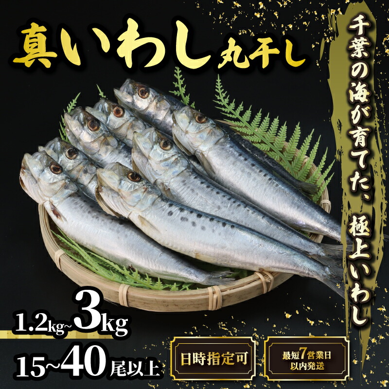 いわし Amazon | 【太刀魚イワシセット】タチウオテンヤ用 大きめイワシ