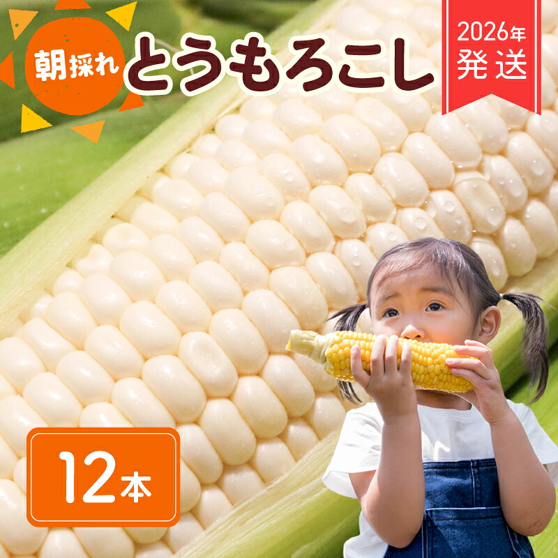 【ふるさと納税】 2026年 先行予約 白とうもろこし 12本 ホワイトコーン ホワイト コーン スイートコーン 生 白 新鮮 ジューシー 旬 野菜 やさい 夏野菜 朝採り とうきび バーベキュー 数量限定 季節限定 送料無料 産地直送 冷蔵 千葉県 旭市 株式会社はなわ農園