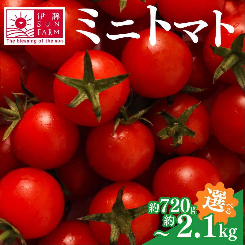 楽天市場】【ふるさと納税】【選べる内容量】ドトマト1号 1kg-2kg