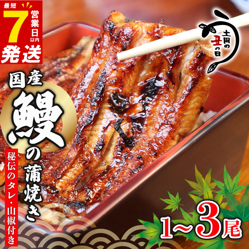 【ふるさと納税】 \最短7営業日以内発送/ 国産鰻 の 蒲焼き 国産うなぎ 選べる 1尾 / 2尾 / 3尾 山椒 タレ つき 半身 カット 国産 うなぎ ウナギ 鰻 炭火焼 炭火 うなぎ蒲焼き うな重 ひつまぶし 蒲焼 丑の日 贈り物 贈答 ギフト プレゼント 送料無料 千葉県 旭市 川千家|千葉県旭市