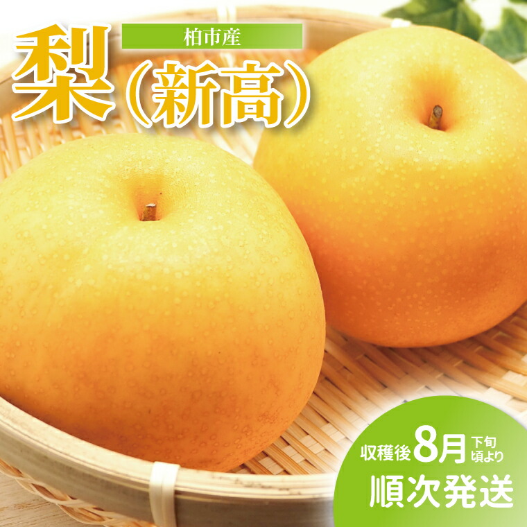 【ふるさと納税】【先行予約】【2025年8月下旬発送】 梨 新高 5kg フルーツ 果物 なし 新高梨 旬 国産 産地直送 千葉県産 柏市産 おいしい おすすめ 新鮮 デザート 大量 予約