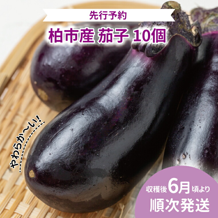 【ふるさと納税】【オンライン決済限定】柏市産 やわらか茄子 10個 〈先行予約 2026年6月順次発送〉 なす ナス 野菜 セット 国産 千葉県産 新鮮 旬 産地直送 おすすめ 夏野菜 煮物 揚げ物 浅漬け　お届け：2026年6月1日～7月31日まで