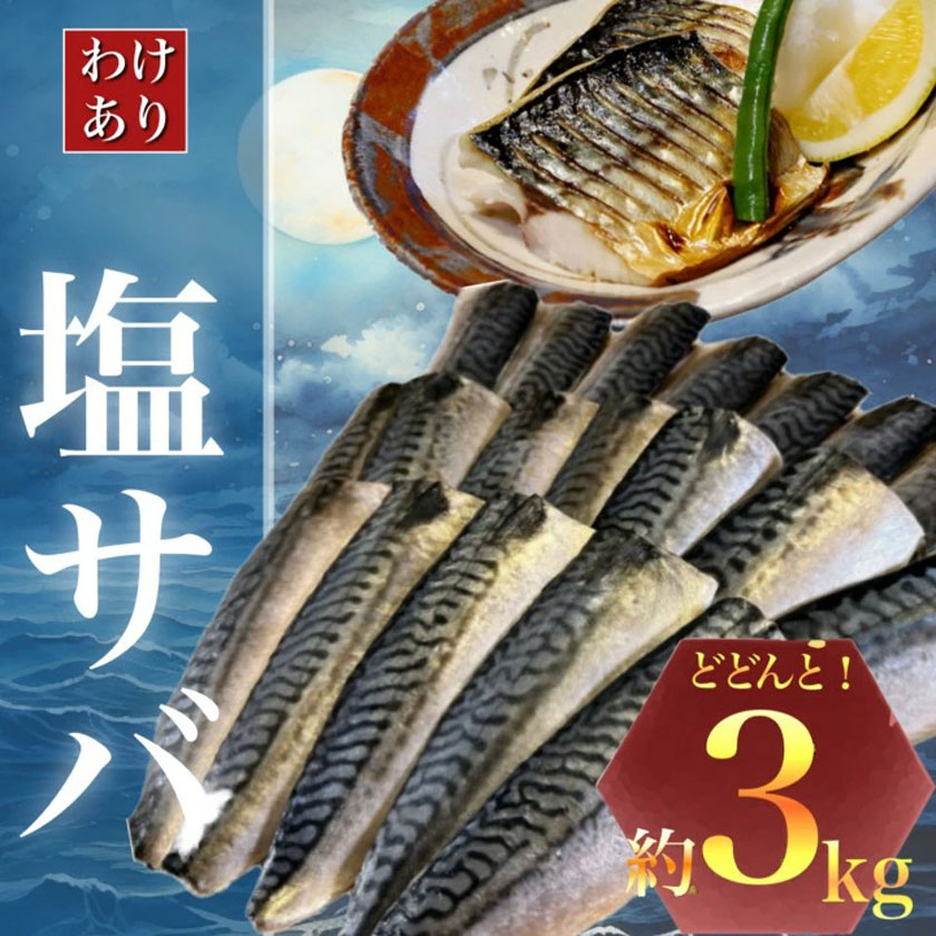 【ふるさと納税】【訳あり】勝浦市の人気 海鮮お礼品 無添加 塩サバ 3kg 株式会社西川《6月上旬-6月末頃出荷》千葉県 勝浦市  塩サバ さば 魚 無添加 冷凍 訳あり【配送不可地域：離島】
