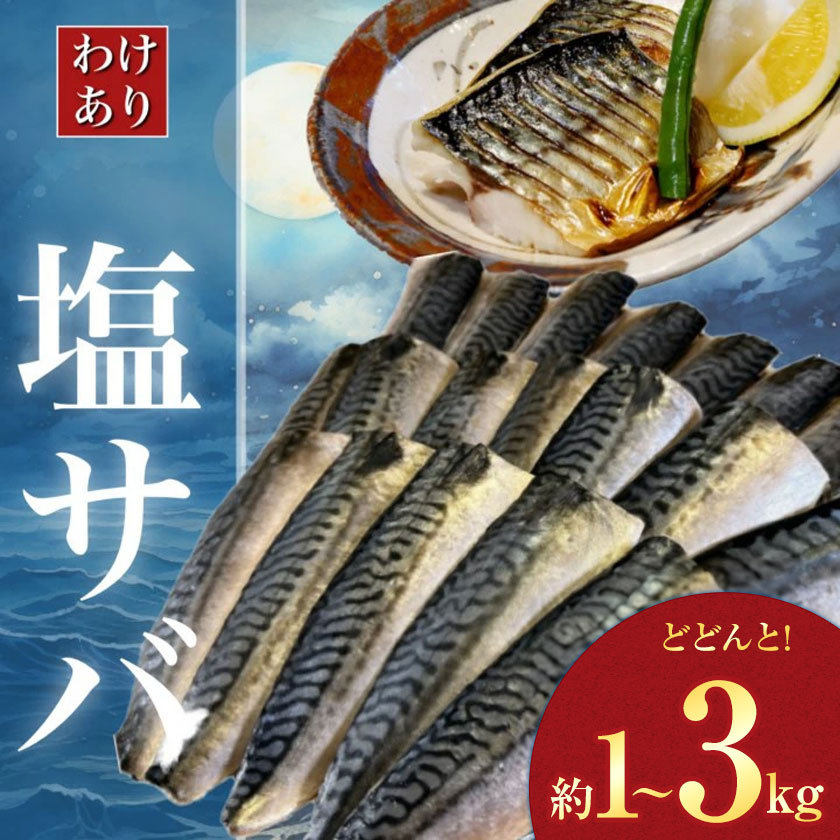 ふるさと納税の訳あり塩サバ