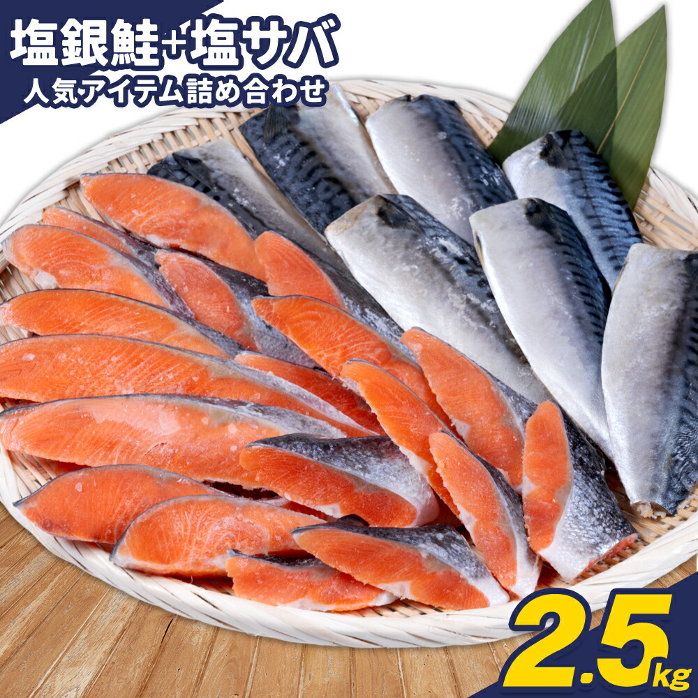 【ふるさと納税】訳あり 人気アイテム 詰め合わせ 塩銀鮭 切り落とし 1.5kg + 塩サバ 1kg 合計 約 2.5kg 株式会社西川 《6月上旬-6月末頃出荷》千葉県 勝浦市  塩銀鮭 塩サバ 魚 切り落とし 冷凍 訳あり 手作り 惣菜【配送不可地域：離島】