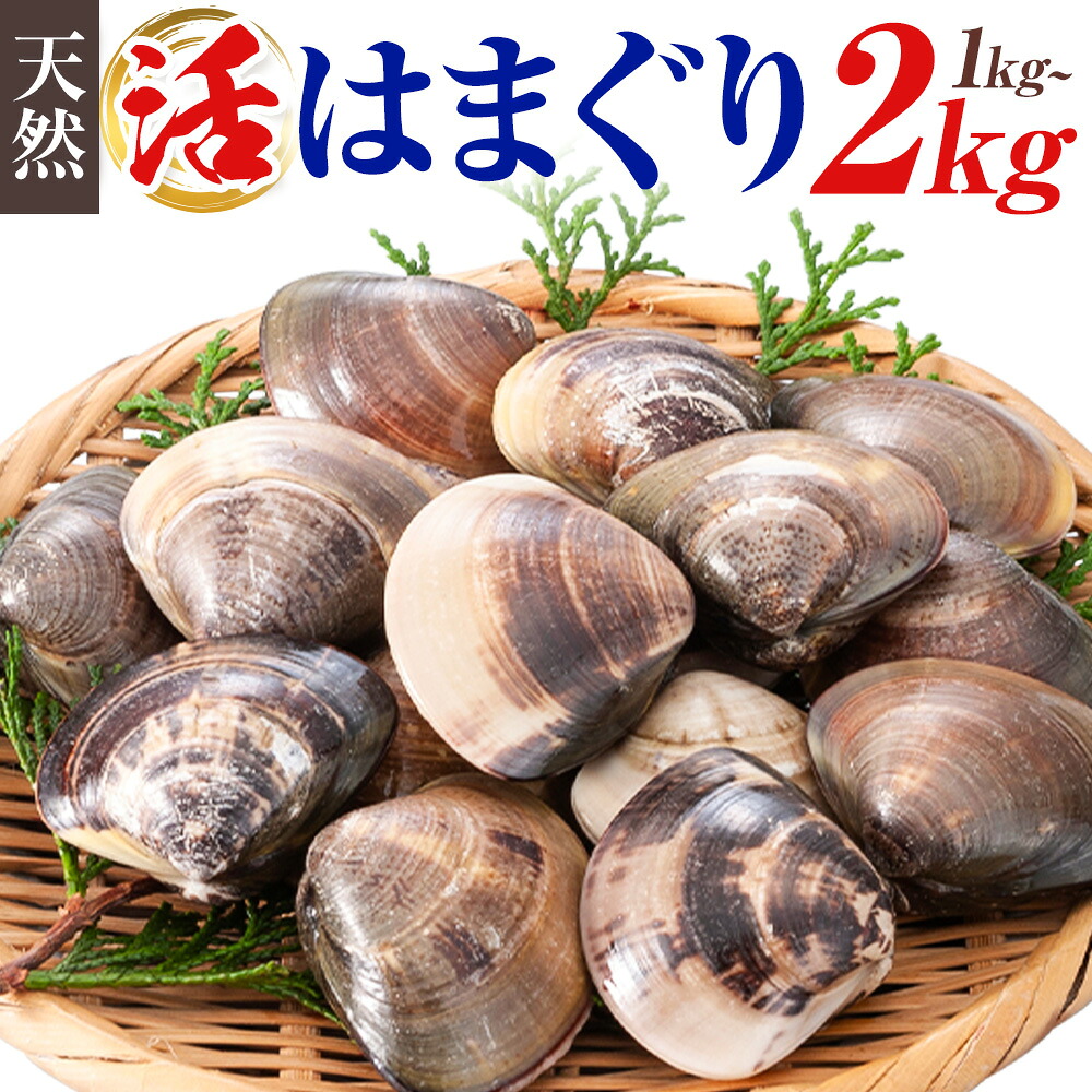 【ふるさと納税】 数量限定 天然 活 はまぐり 2kg 1kg 1個:40~100g 寺田水産 《2025年7月上旬-2026年6月末頃出荷》千葉県 勝浦市 海産 貝 はまぐり【配送不可地域:離島・北海道・沖縄県・東北・中国・四国・九州】