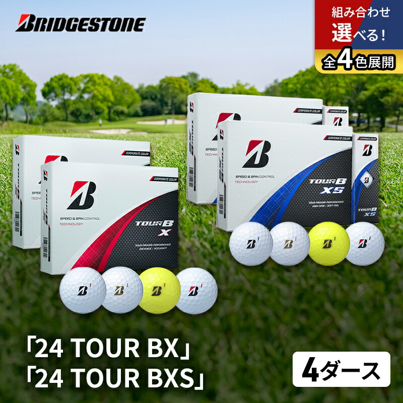 Titelist Pro V1 ホワイト 1ダース ふるさと納税 静岡県磐田市