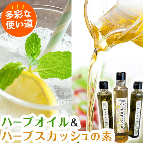 【ふるさと納税】ハーブオイル 190g×2本 ハーブスカッシュの素 340g×1本 流山えか 自然農場 詰め合わせ 《30日以内に出荷予定(土日祝除く)》 ブラッスリーしんかわ 千葉県 流山市