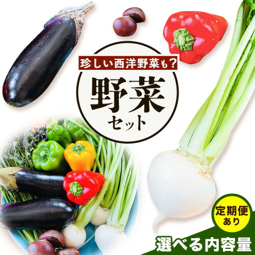【ふるさと納税】野菜 農家直送 新鮮 野菜 セット 選べる 容量 6~13品 《60日以内に出荷予定(土日祝除く)》 森田農園  単発 定期便 あり 青果物 やさい 千葉県 流山市