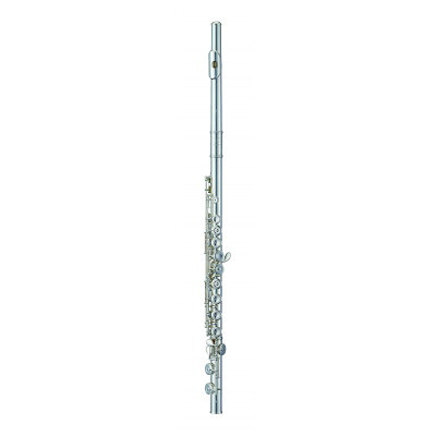 【ふるさと納税】Flute《管体・座金・ポスト・リング銀製Ag925》フルート　エレガンテ【F-ED925/E】1台【1494385】