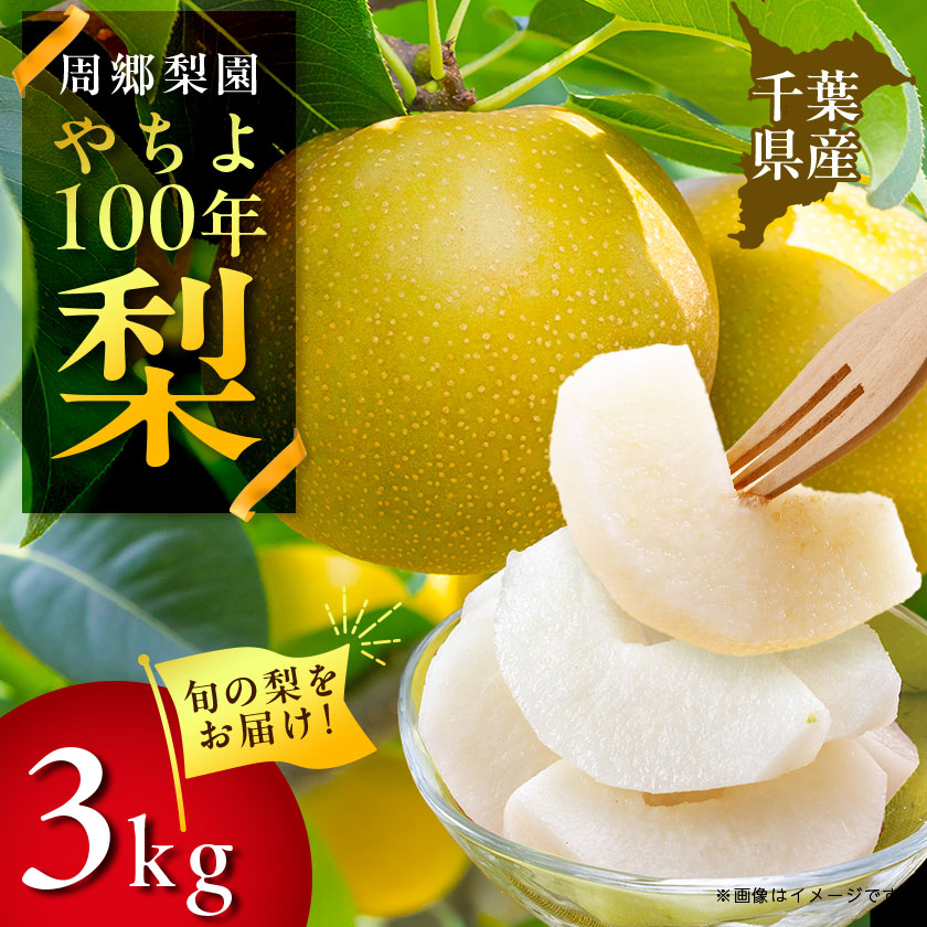 【ふるさと納税】2025年発送先行予約 周郷梨園のやちよ100年梨(3kg)【1493887】