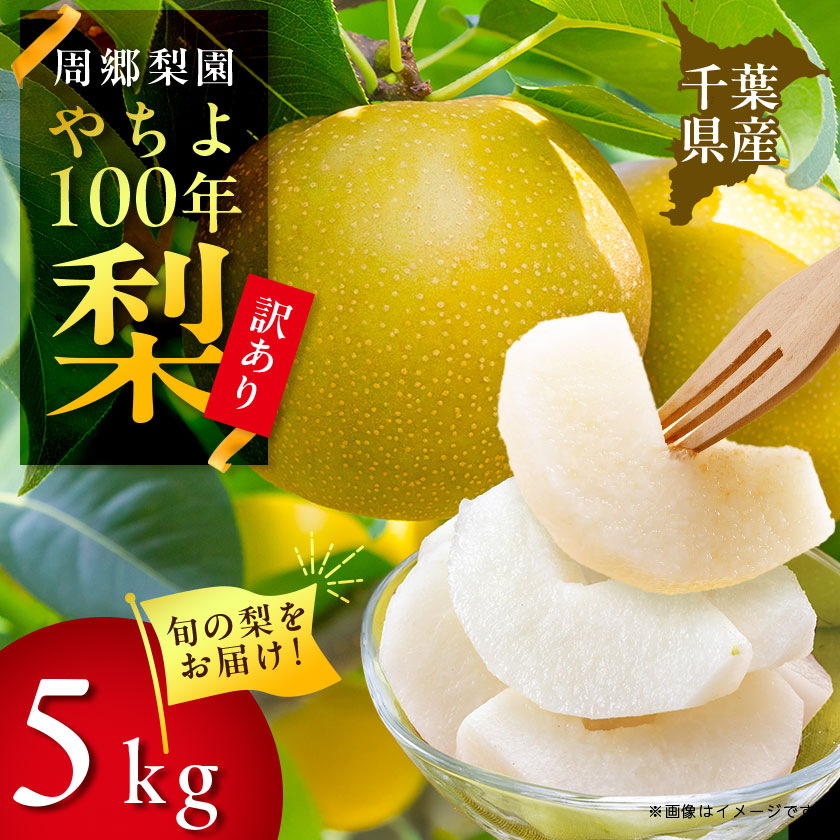 【ふるさと納税】2025年発送先行予約 周郷梨園のやちよ100年梨家庭用(5kg)【1493891】
