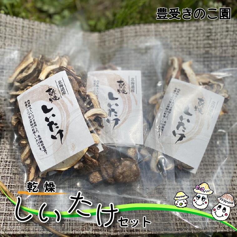 【ふるさと納税】【豊受きのこ園】乾燥しいたけセット