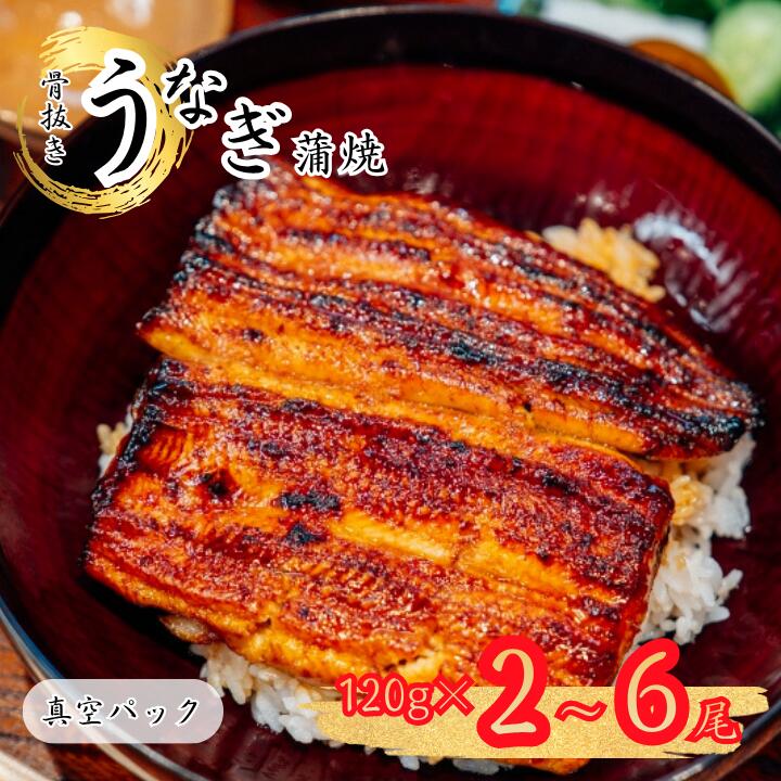 【ふるさと納税】骨抜き 鰻蒲焼2～6尾（真空パック） 丑の日 炭火 鰻 ウナギ ギフト 真空パック タレ 山椒 冷凍 贈り物 プレゼント お祝い お取り寄せ ギフト 送料無料 我孫子市 千葉県　《30日以内に出荷予定(土日祝除く)》 27,000円