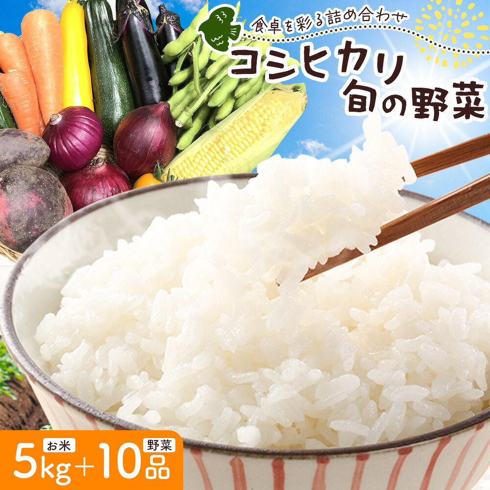 【ふるさと納税】米 野菜 千葉県我孫子市の農家直送! ふっくら甘み自慢の 令和7年産 コシヒカリ 5kg ＆ 旬の野菜 10品 《30日以内に出荷予定(土日祝除く)》 ベジLIFE!! 【配送不可地域あり】(沖縄・離島) 精米 米 白米 ごはん お米 国産 コメ 野菜 トマト 白菜 玉ねぎ｜千葉県我孫子市