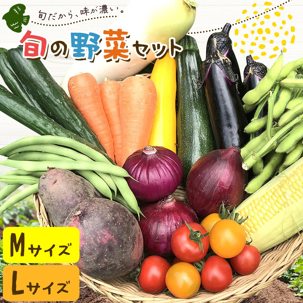 【ふるさと納税】野菜 旬の野菜セット Mサイズ 約8～9種 Lサイズ 約10～11種 《30日以内に出荷予定(土日祝除く)》 ベジLIFE!! 【配送不可地域あり】(沖縄・離島) 季節の野菜 料理 甘い 採れたて トマト 新玉ねぎ じゃがいも キャベツ 白菜 ベジライフ 千葉県 我孫子市