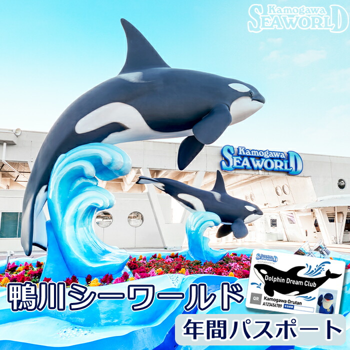 楽天市場】【ふるさと納税】鴨川シーワールド 1Dayチケット 1枚